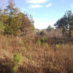 Meet your Posher, Richard